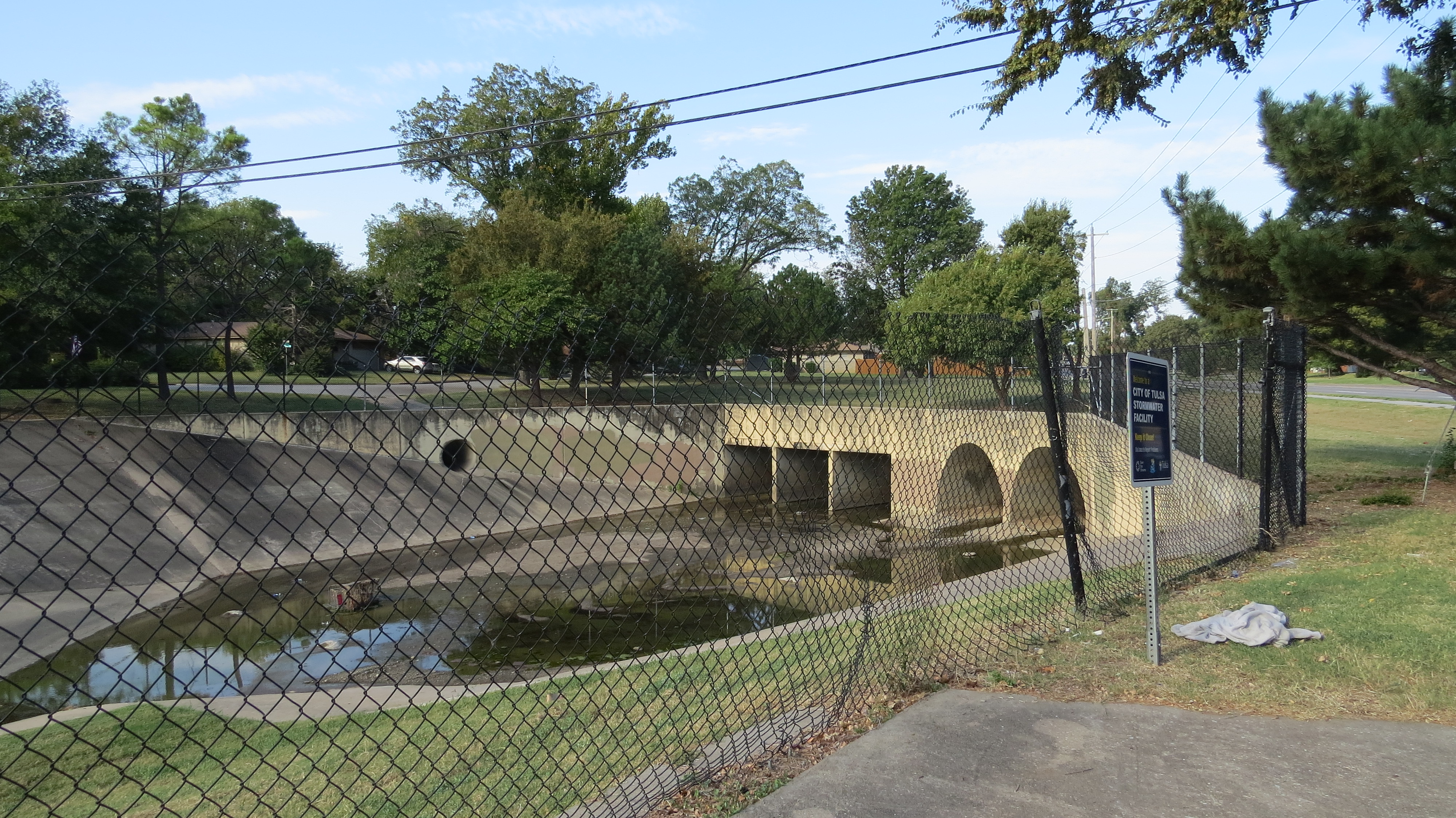 Image from Williams Park taken on Thursday 16th of October 2025